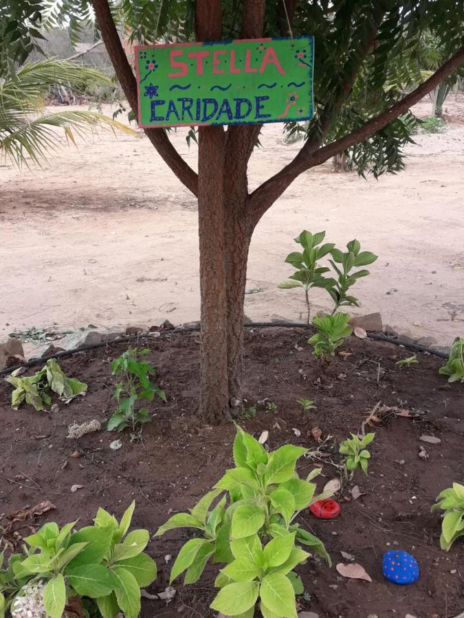 Chale Com Vista Privilegiada Pilões de Dentro Exterior foto